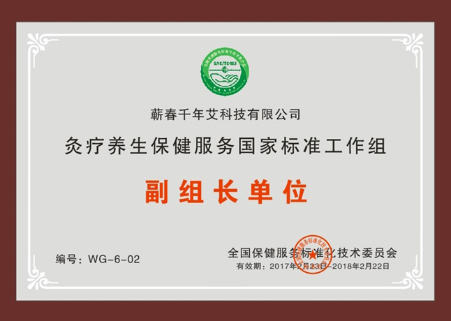 灸疗保健服务国家标准工作组副组长